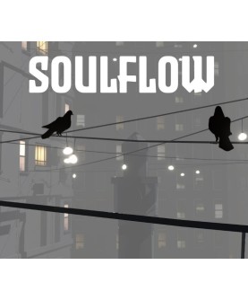 Soulflow Steam Key EUROPE